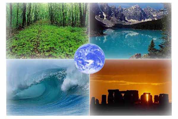 10 экологических фактов