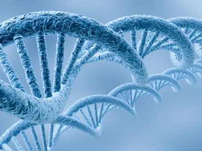 Шесть монстров, которые прячутся в вашей ДНК